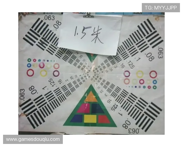 新手必看！dqty斗球下载详细指南与常见问题解答